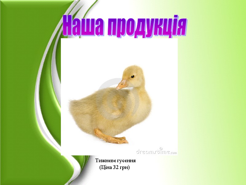 Наша продукція            